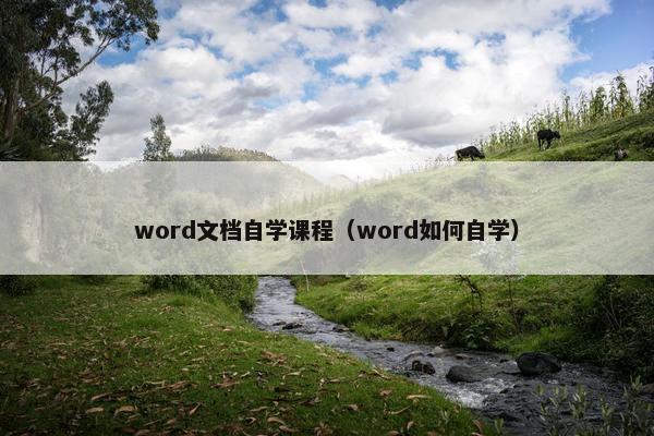 word文档自学课程（word如何自学）