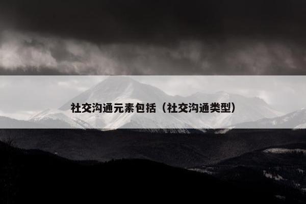社交沟通元素包括（社交沟通类型）