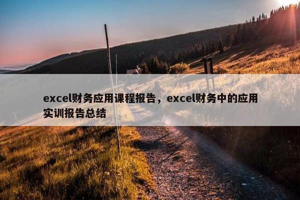 excel财务应用课程报告，excel财务中的应用实训报告总结