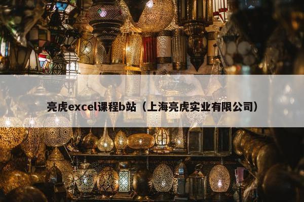 亮虎excel课程b站（上海亮虎实业有限公司）