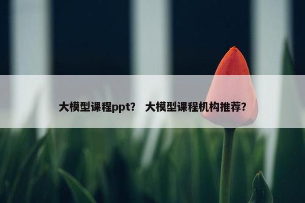 大模型课程ppt？ 大模型课程机构推荐？