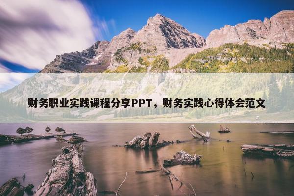 财务职业实践课程分享PPT，财务实践心得体会范文