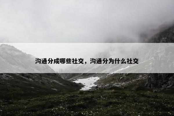 沟通分成哪些社交，沟通分为什么社交