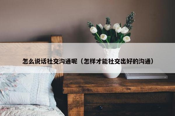 怎么说话社交沟通呢（怎样才能社交出好的沟通）