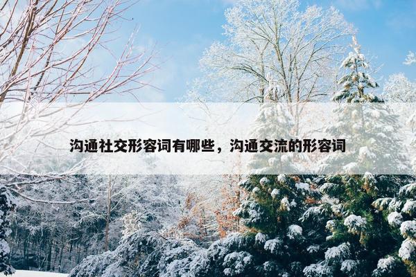 沟通社交形容词有哪些，沟通交流的形容词