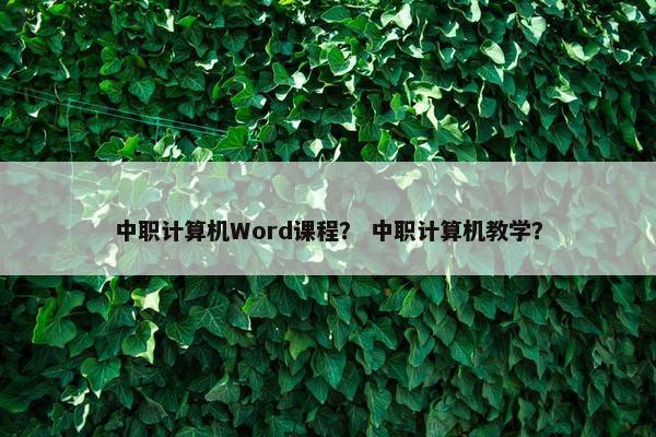 中职计算机Word课程？ 中职计算机教学？