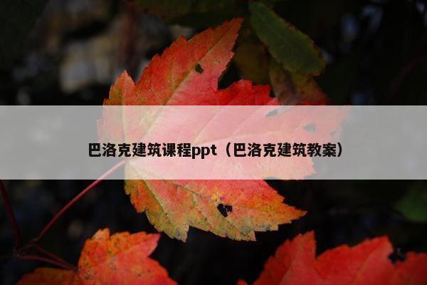 巴洛克建筑课程ppt（巴洛克建筑教案）