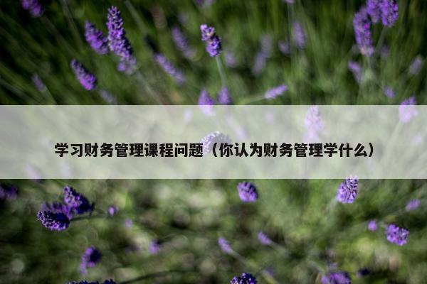 学习财务管理课程问题（你认为财务管理学什么）