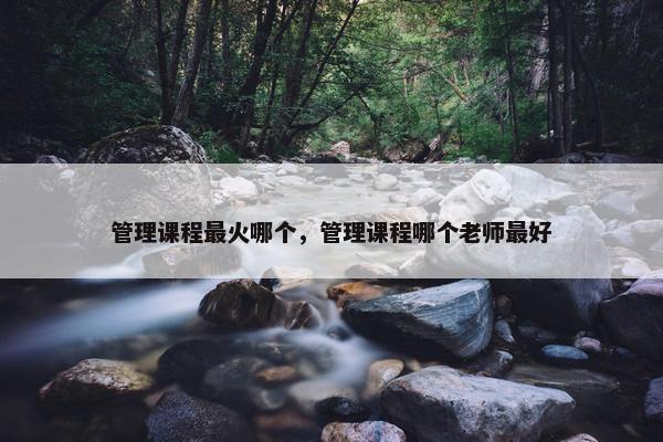 管理课程最火哪个，管理课程哪个老师最好