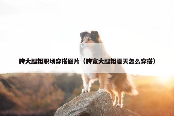 胯大腿粗职场穿搭图片（胯宽大腿粗夏天怎么穿搭）