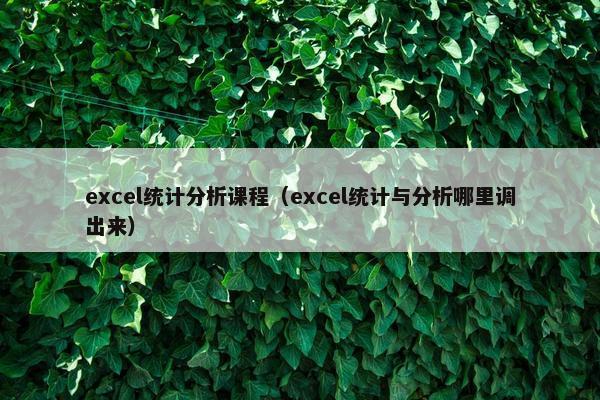 excel统计分析课程（excel统计与分析哪里调出来）