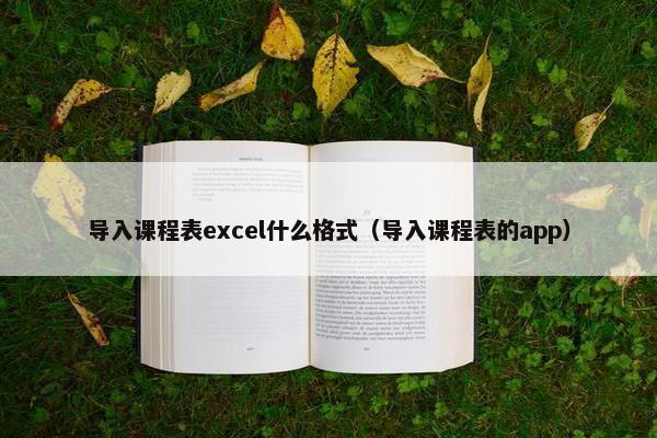 导入课程表excel什么格式（导入课程表的app）