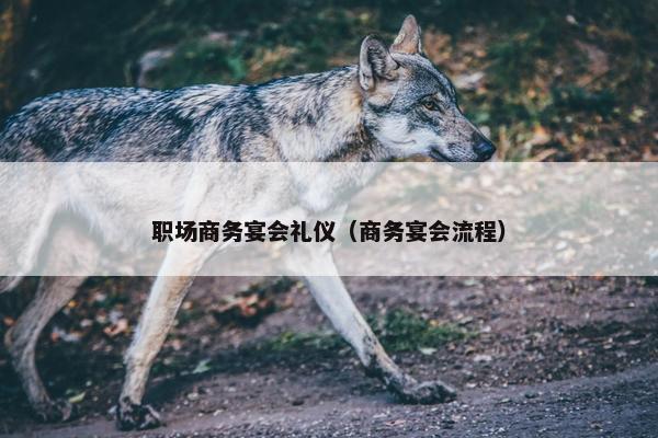 职场商务宴会礼仪（商务宴会流程）