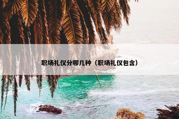 职场礼仪分哪几种（职场礼仪包含）