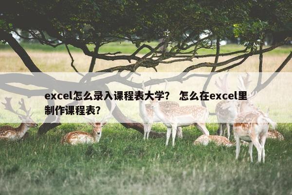 excel怎么录入课程表大学？ 怎么在excel里制作课程表？