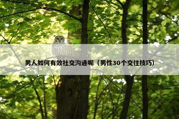 男人如何有效社交沟通呢（男性30个交往技巧）