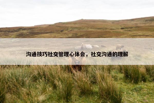 沟通技巧社交管理心体会，社交沟通的理解