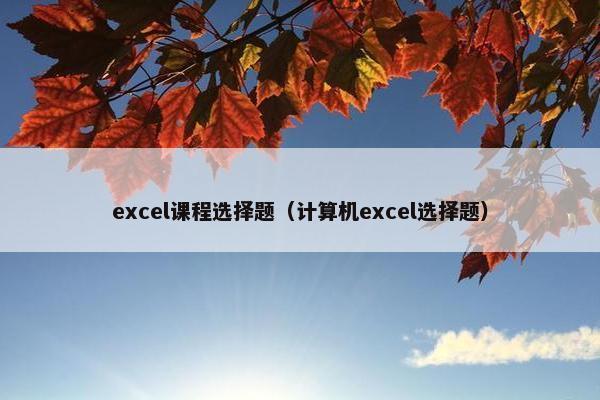 excel课程选择题（计算机excel选择题）