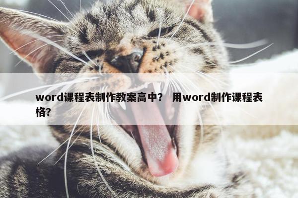 word课程表制作教案高中？ 用word制作课程表格？
