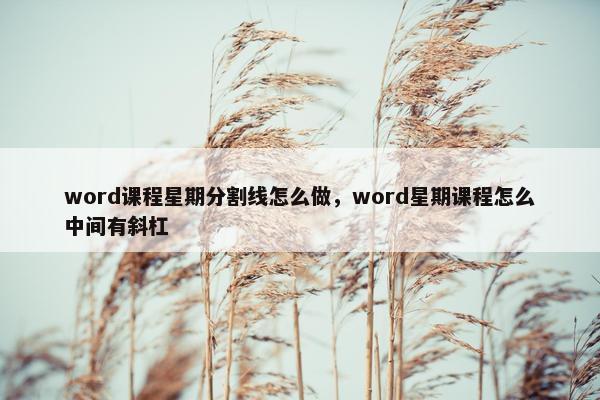 word课程星期分割线怎么做，word星期课程怎么中间有斜杠