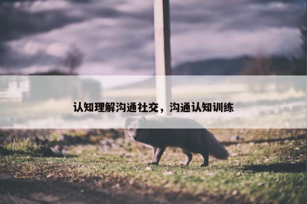 认知理解沟通社交，沟通认知训练