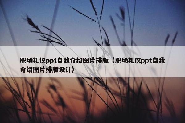 职场礼仪ppt自我介绍图片排版（职场礼仪ppt自我介绍图片排版设计）