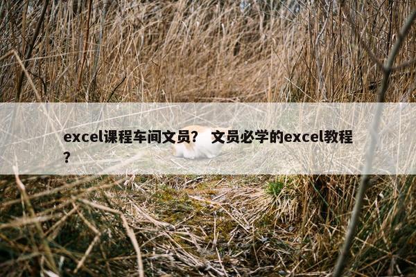 excel课程车间文员？ 文员必学的excel教程？