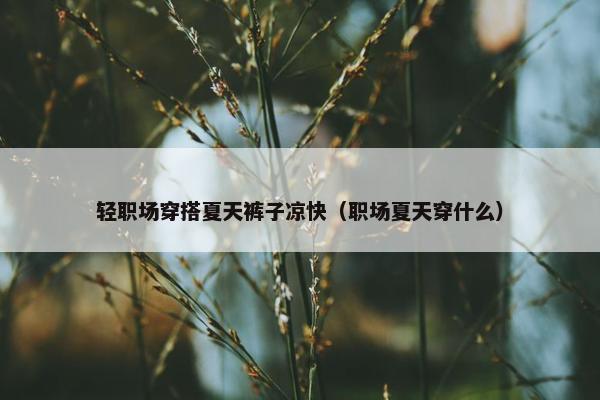 轻职场穿搭夏天裤子凉快（职场夏天穿什么）