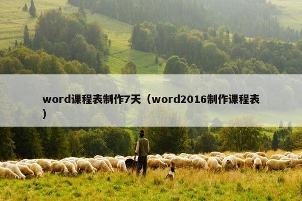 word课程表制作7天（word2016制作课程表）