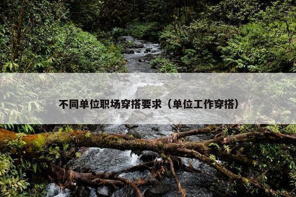 不同单位职场穿搭要求（单位工作穿搭）