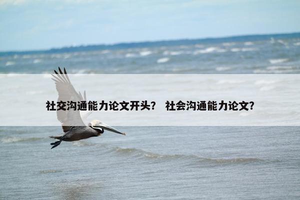 社交沟通能力论文开头？ 社会沟通能力论文？