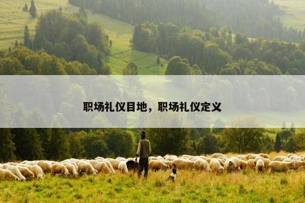 职场礼仪目地，职场礼仪定义