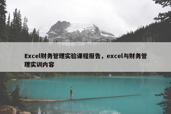 Excel财务管理实验课程报告，excel与财务管理实训内容