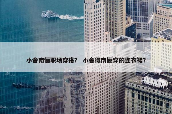 小舍南俪职场穿搭？ 小舍得南俪穿的连衣裙？