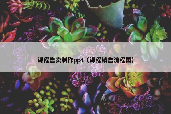 课程售卖制作ppt（课程销售流程图）