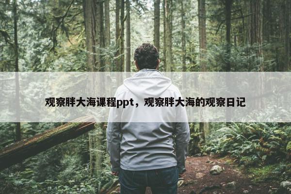 观察胖大海课程ppt，观察胖大海的观察日记