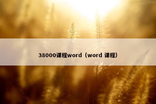 38000课程word（word 课程）