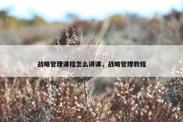 战略管理课程怎么讲课，战略管理教程