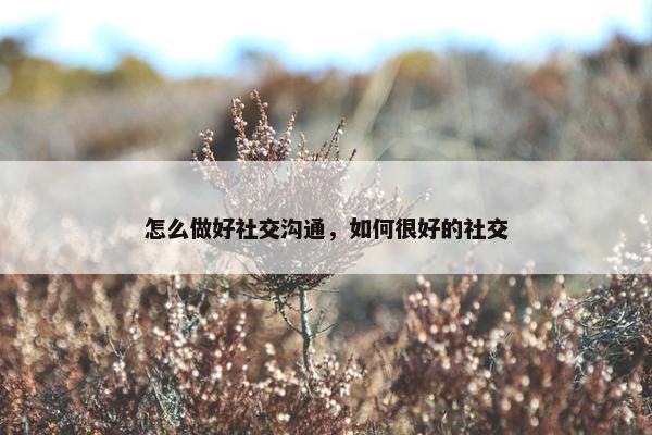 怎么做好社交沟通，如何很好的社交