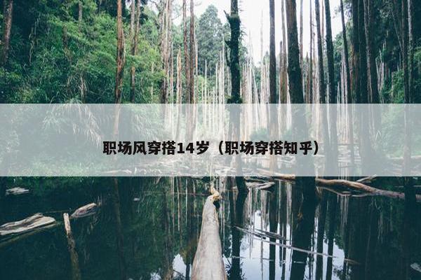 职场风穿搭14岁（职场穿搭知乎）