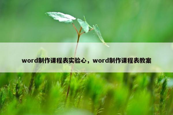 word制作课程表实验心，word制作课程表教案