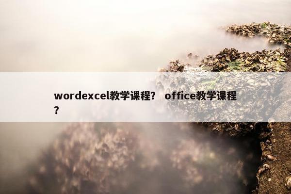 wordexcel教学课程？ office教学课程？