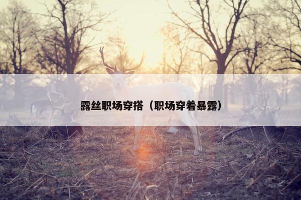 露丝职场穿搭（职场穿着暴露）