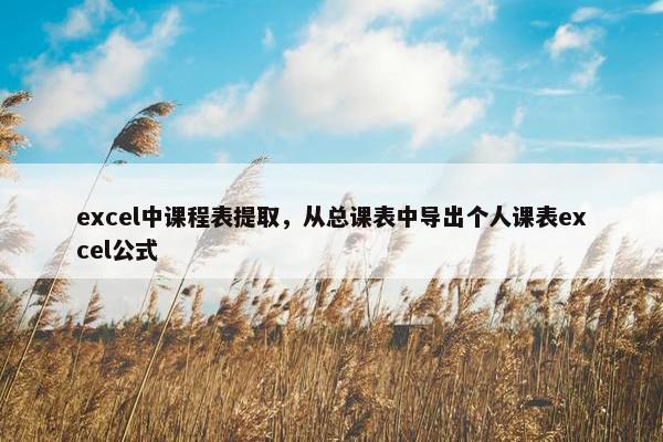 excel中课程表提取，从总课表中导出个人课表excel公式