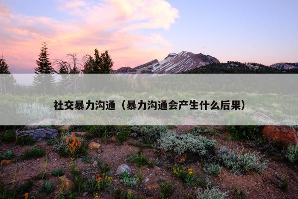 社交暴力沟通（暴力沟通会产生什么后果）
