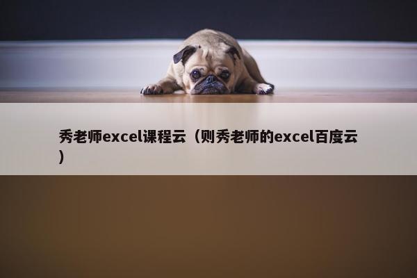 秀老师excel课程云（则秀老师的excel百度云）