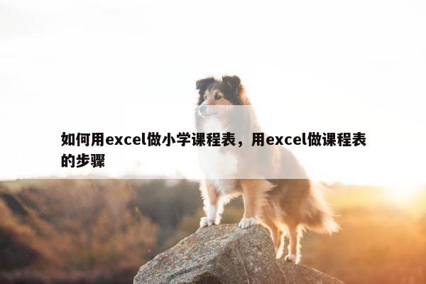 如何用excel做小学课程表，用excel做课程表的步骤