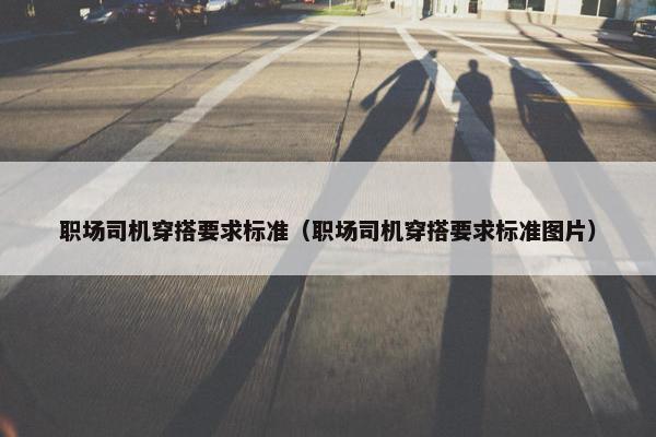 职场司机穿搭要求标准（职场司机穿搭要求标准图片）