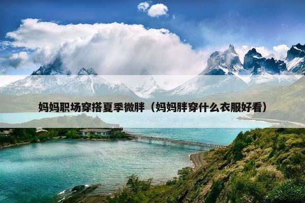 妈妈职场穿搭夏季微胖（妈妈胖穿什么衣服好看）