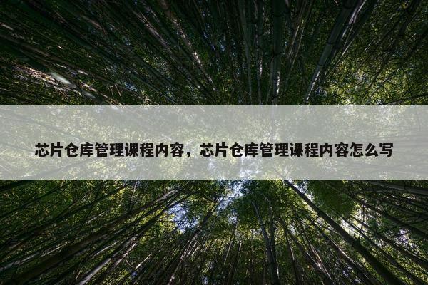 芯片仓库管理课程内容，芯片仓库管理课程内容怎么写
